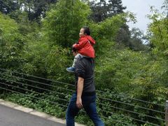 -中国大熊猫保护研究中心雅安碧峰峡基地