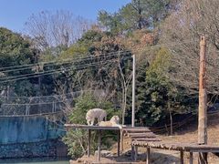 -宁波野生动物园