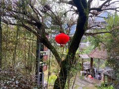 -天芳悦潭度假村温泉