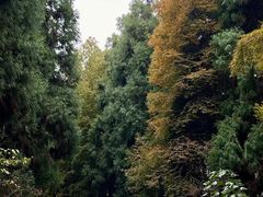 -山王坪喀斯特国家生态公园