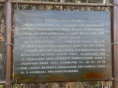 -棒棰岛宾馆景区