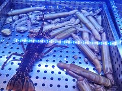 -新海渔港·胶东海鲜家常菜·家宴(奥体中心店)