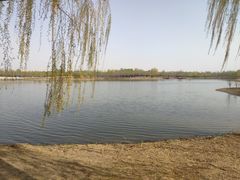 -东郊湿地公园