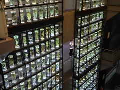 -广东中医药博物馆