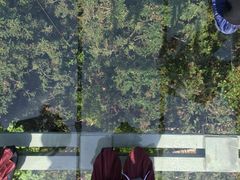 -石燕湖生态旅游景区