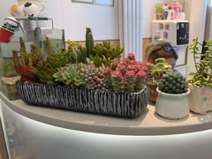 -瑞派·关忠动物医院·猫专科·犬专科(三环新城店)