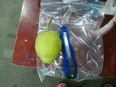 android_upload_pic-浦东新区花木街道图书馆