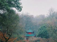 -岳麓山风景名胜区