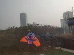 -汇泉广场