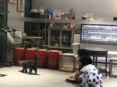 -歎雪糕低糖低脂Gelato冰淇淋