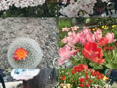 -南山植物园