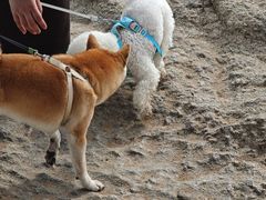 -兴城海滨风景区