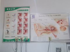 -自然之声助听器·呼吸机(贵定店)