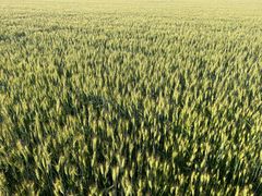 -汉长安城未央宫国家考古遗址公园