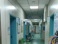 -北京观赏动物医院·24小时大型综合·猫专科·异宠专科