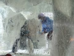 -南昌海洋公园