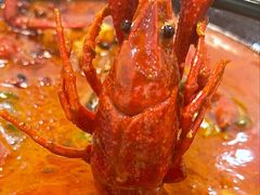 -骄傲de小龙虾 · 全羊馆(新北万达店)
