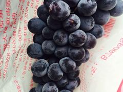 -柯剑飞超级水果批发中心(东港店)