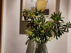 -梅间堂茶馆(绿地缤纷城店)