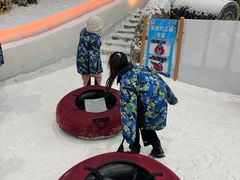 -世界之窗阿尔卑斯冰雪世界