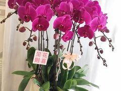 -亭亭鲜花店(中山北路店)