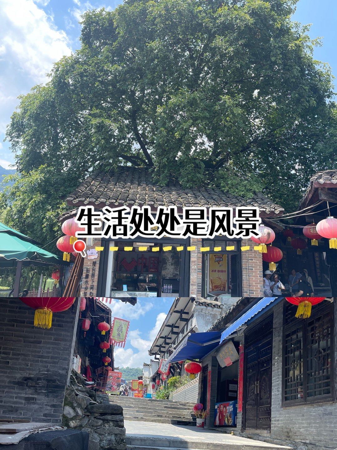 旅游途中发现有趣的屋中树