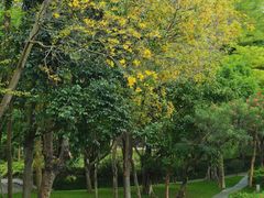 -深圳国际园林花卉博览园