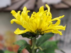 -共青国家森林公园-售票处