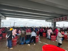 -中国舟山国际水产城