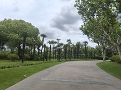 -黄兴公园