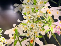 -北京植物园-展览温室