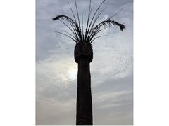 -上海月湖雕塑公园