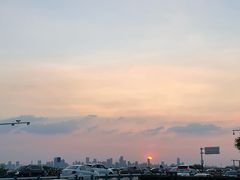 -合肥滨湖国家森林公园