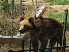-秦皇岛野生动物园