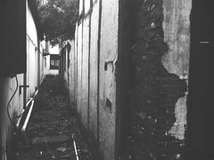 -召稼楼永茂昌粽子大王