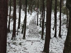 -武陵山森林公园