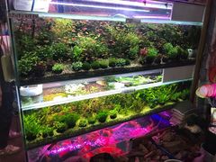 -双季花艺园艺市场(浦东店)