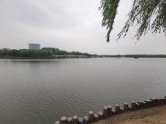 -大兴滨河森林公园