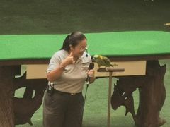 -新加坡飞禽公园