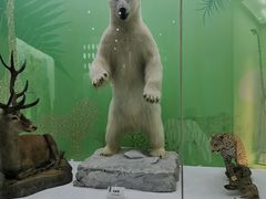 -国家自然博物馆