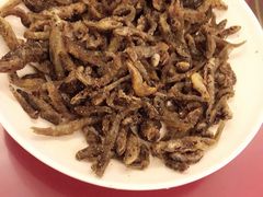 椒盐小溪鱼-黄牛肉馆·皖南土菜