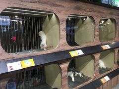 -宠物世家(仲盛世界商城店)