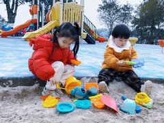 -铁山坪森林公园