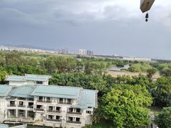 -海上田园