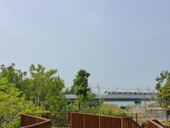 -宝安西湾红树林湿地公园