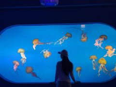 -太平洋海底世界