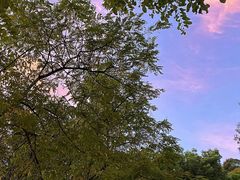 -南山植物园