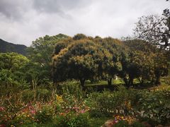 -真功夫(宝丰店)