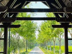 -永定河休闲森林公园