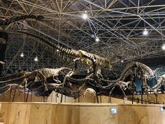 -世界恐龙谷景区